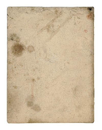 Codex on the Flight of Birds, Endpaper IV by Leonardo da Vinci